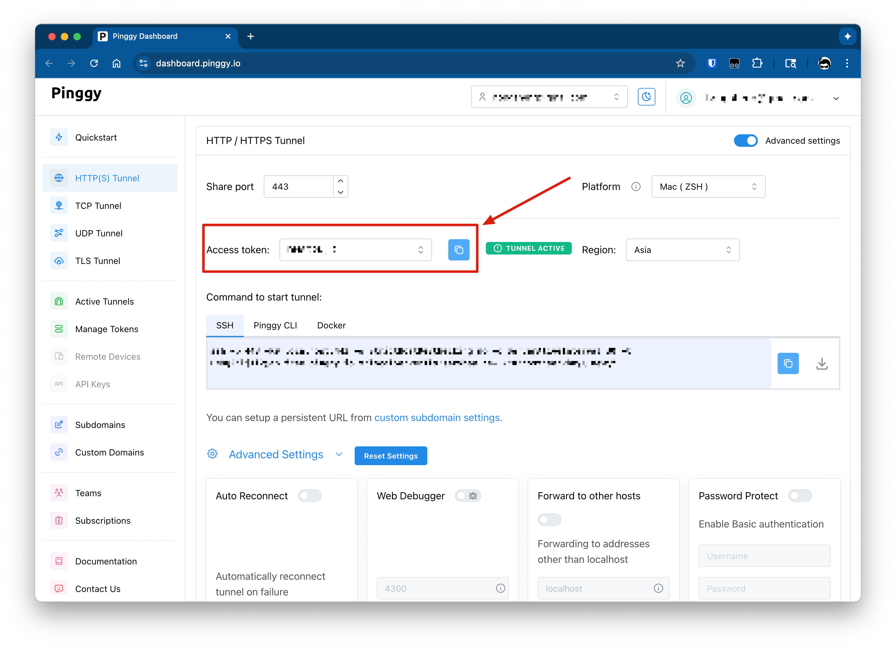 Pinggy Access Token Example