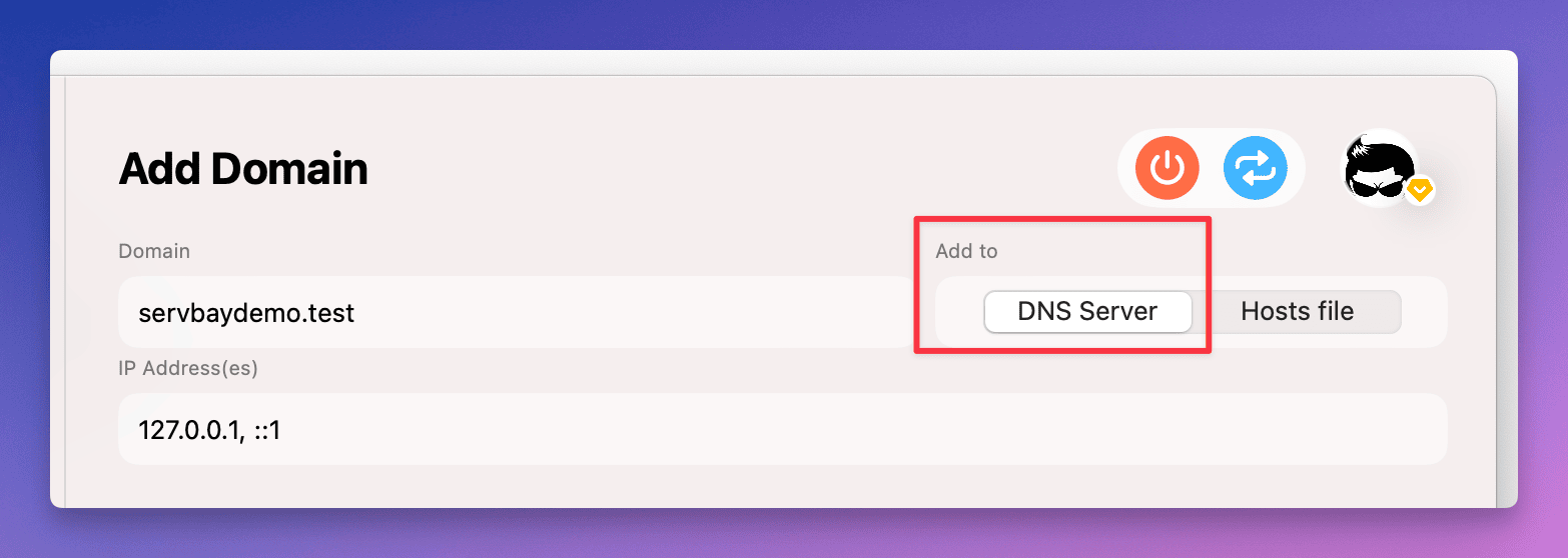 管理本地DNS记录