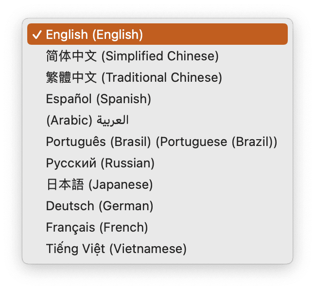 دعم متعدد اللغات