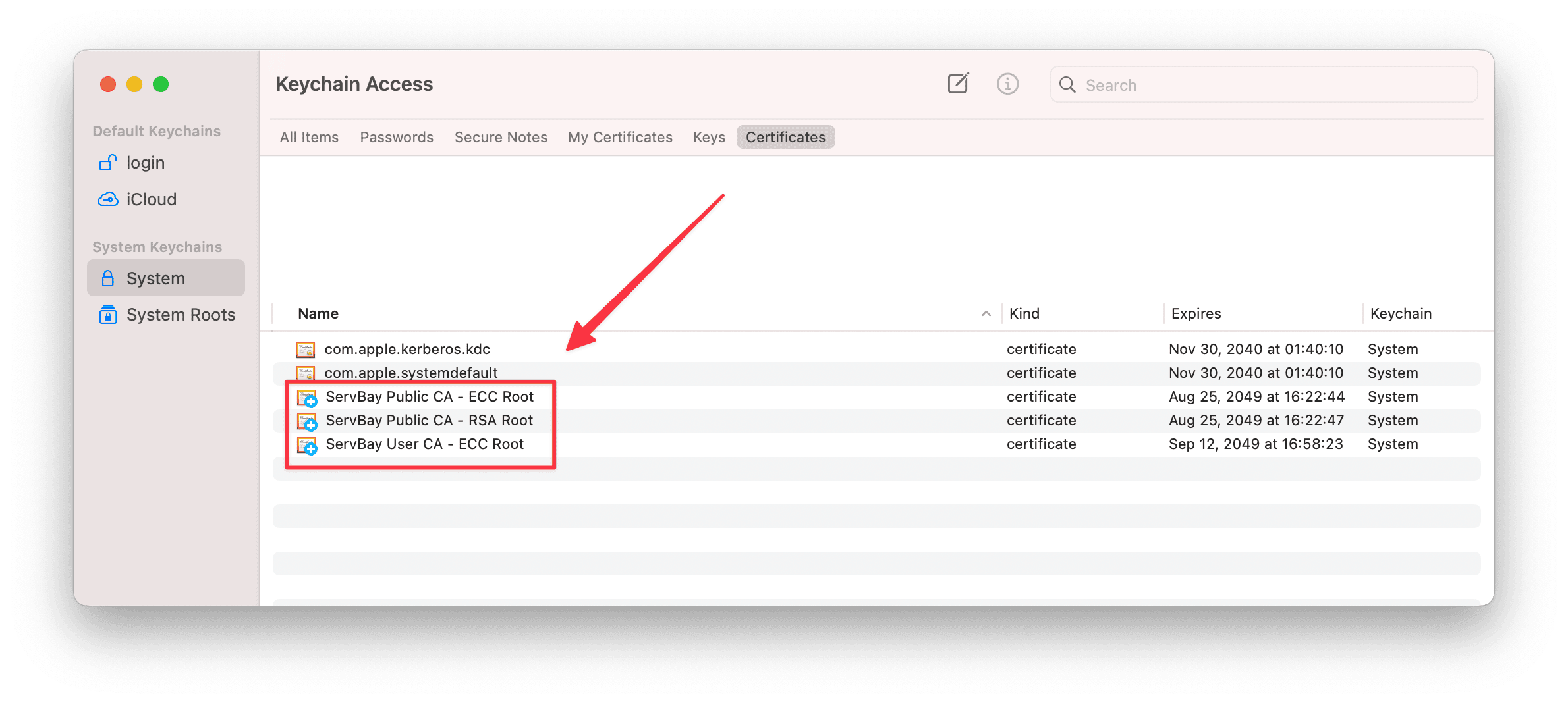 توثيق شهادة ServBay User CA